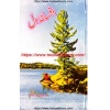Punjabi Pothwari Poetry Books